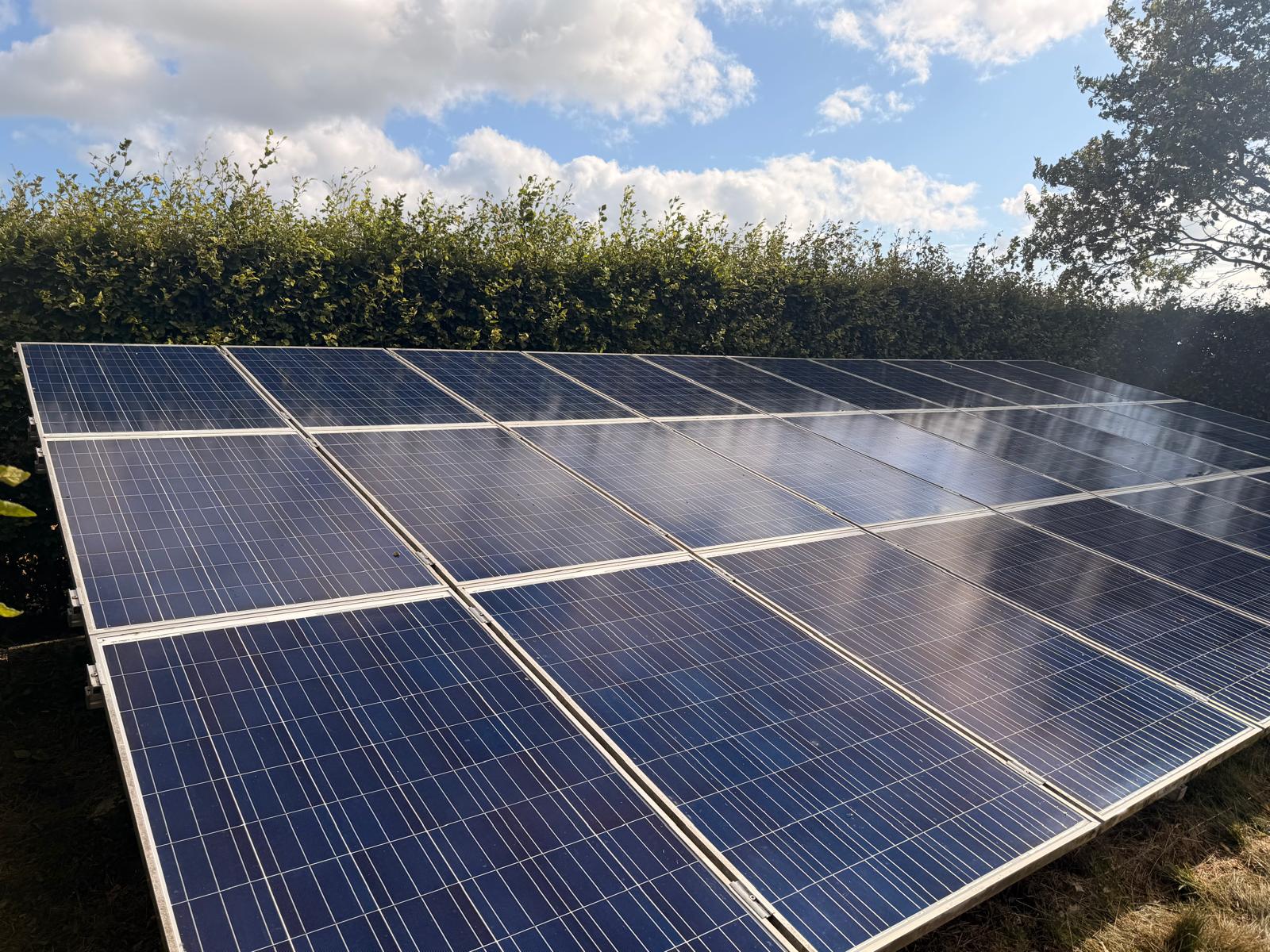 Rijen zonnepanelen in een veld langs een haag, na reiniging